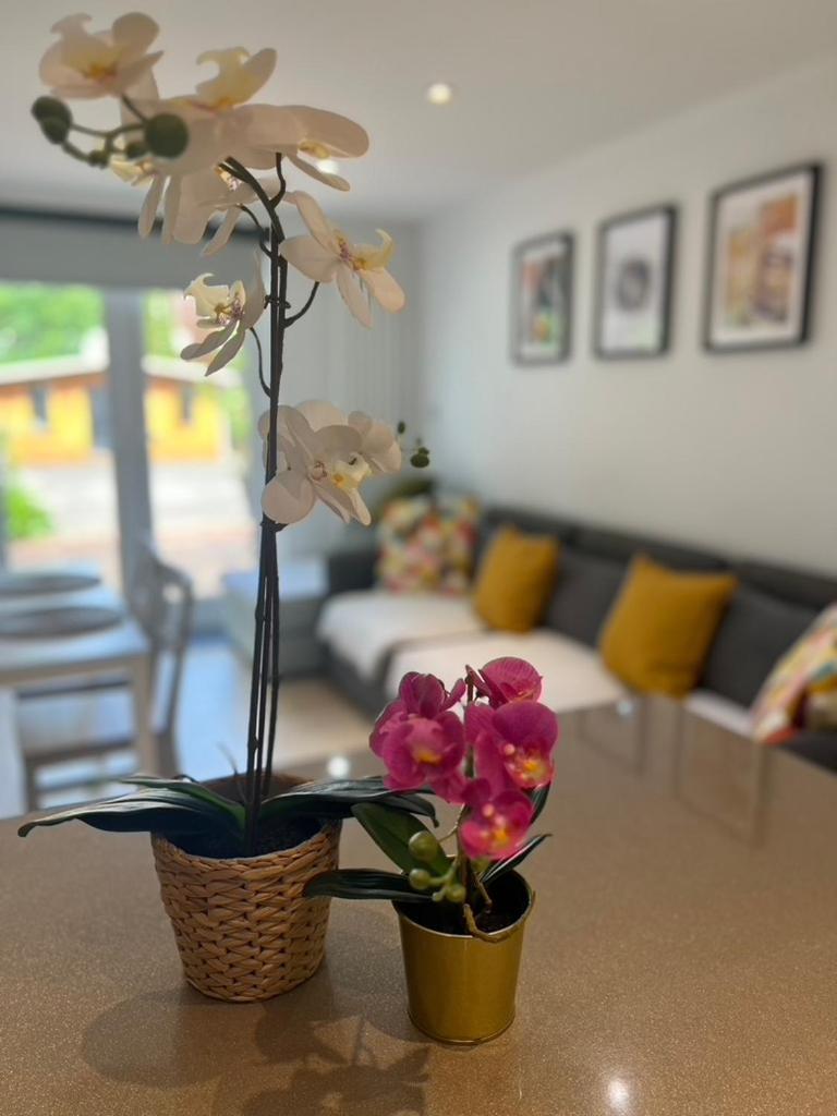 Apartment Zenobia London Luxury Finchley